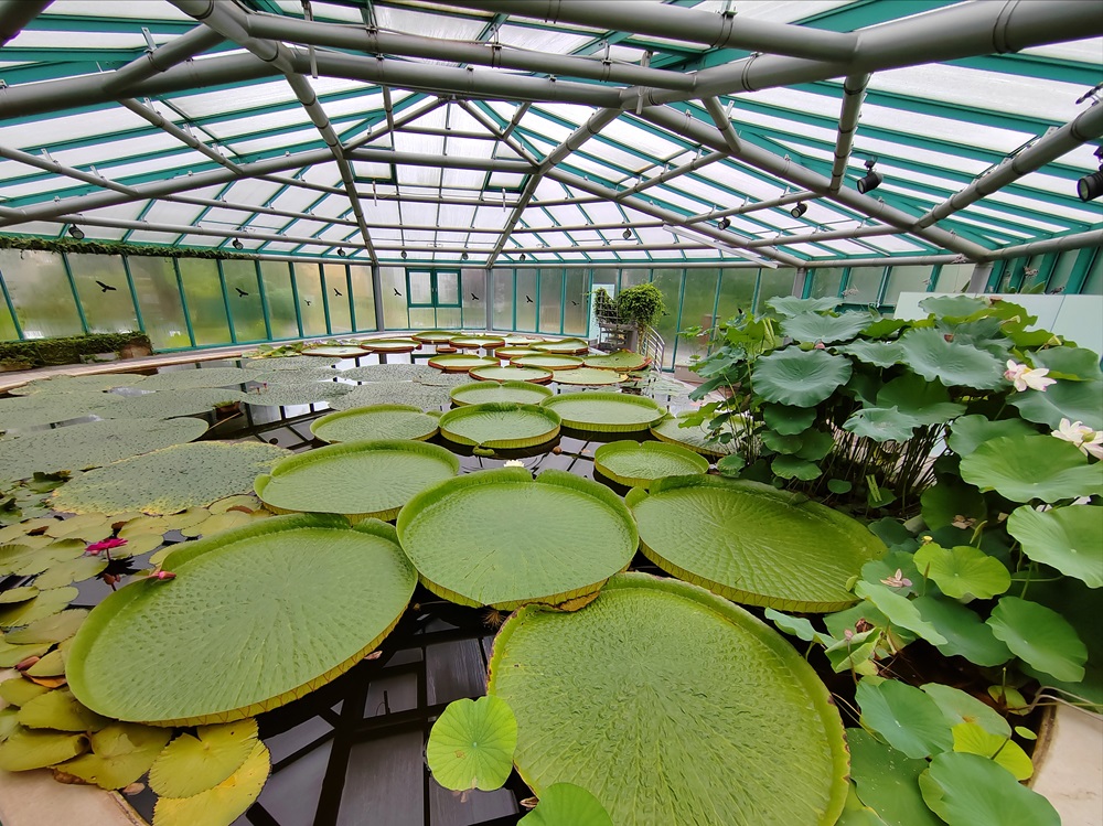 botanickazahrada Liberec3