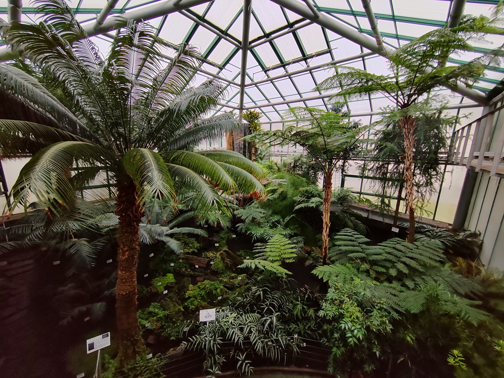 botanickazahrada Liberec4